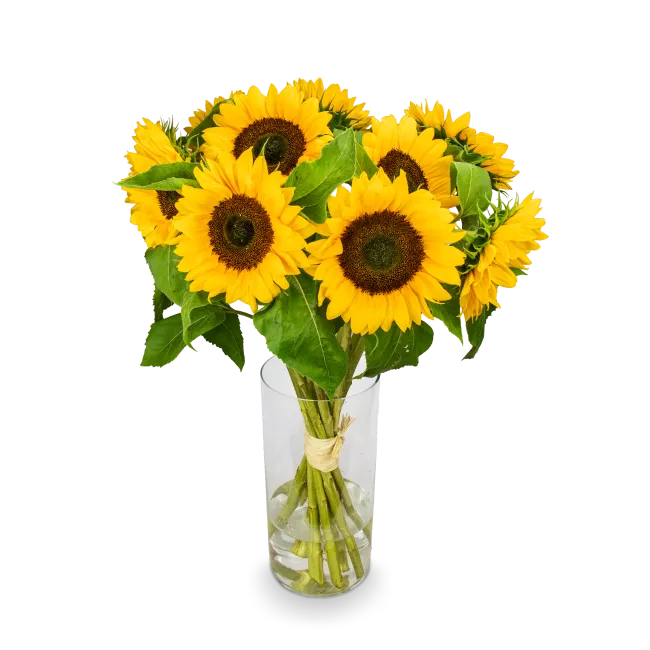 Bouquet of sunflowers